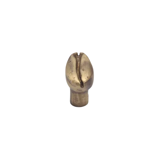 Bouton de meuble Coquillage Bronze
